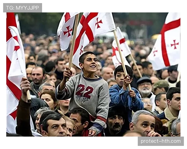 格鲁吉亚军方高效反击 外部侵扰被成功遏制 国家安全获有力保障 格鲁吉亚军方高效反击 外部侵扰被成功遏制 国家安全获有力保障