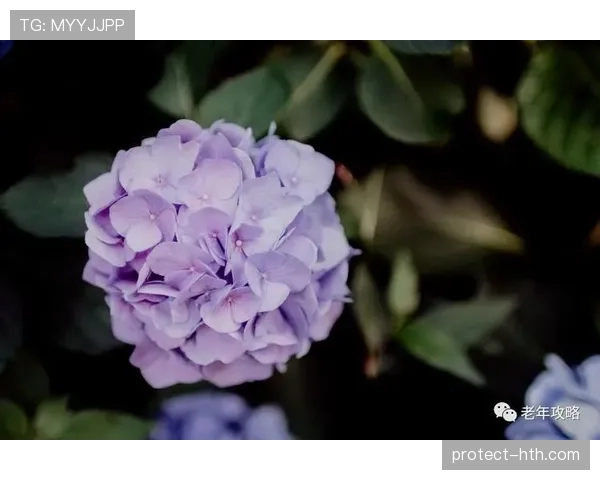 贝林厄姆日常掉个奢侈表，朋友圈瞬间炸锅，这到底是什么生活节奏？